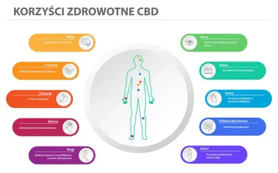 CBD wspiera mózg, łagodząc stres, co może pomóc w walce z objawami depresji. Grafika pokazuje też korzyści dla oczu, skóry, serca, układu pokarmowego, trzustki, żołądka, dłoni i nóg.