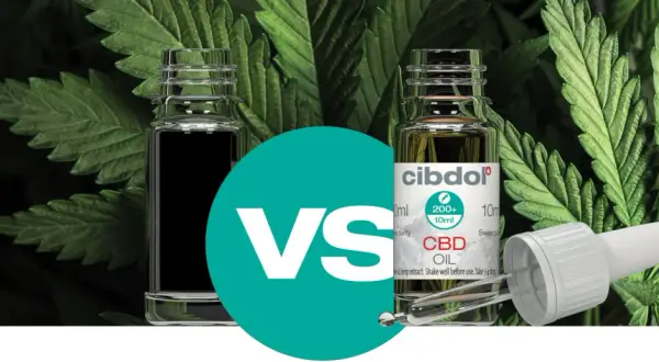 Co to jest THC i CBD? Różnice, działanie, legalność w Polsce