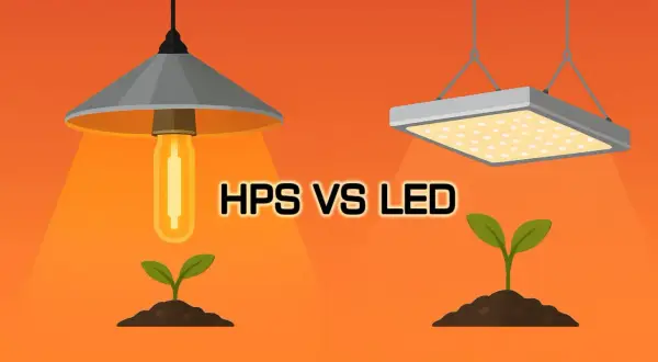 Lampa do uprawy: LED vs HPS 2026. Jak wybrać i oszczędzać?