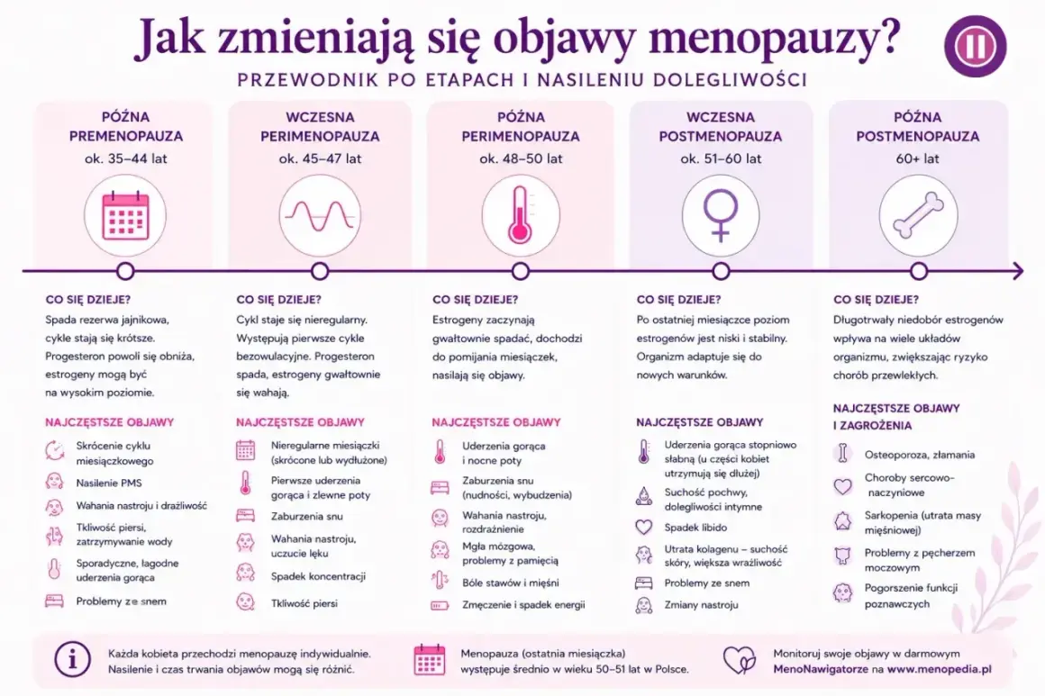 Grafika przedstawia etapy menopauzy i objawy. Dowiedz się, jak sobie radzić z menopauzą, poznając zmiany w organizmie.