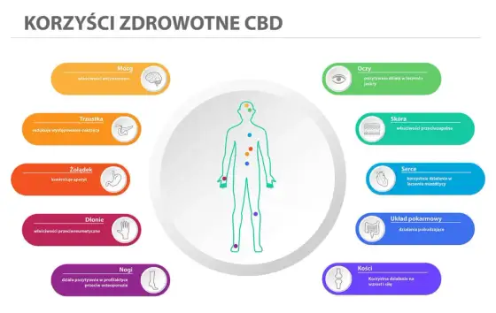 CBD a depresja - co naprawdę wiadomo i kiedy uważać